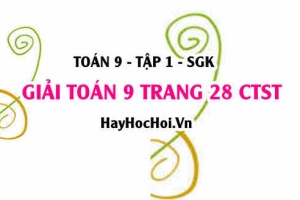 Giải Toán 9 trang 28 tập 1 Chân trời sáng tạo SGK